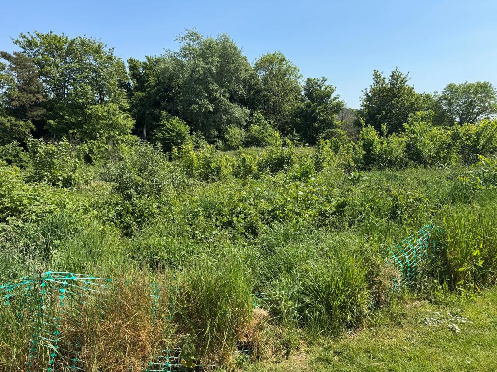 Lot: 28 - APPROXIMATELY THREE QUARTERS OF AN ACRE OF FREEHOLD LAND WITH POTENTIAL - A Photo showing the Main Body of the Land